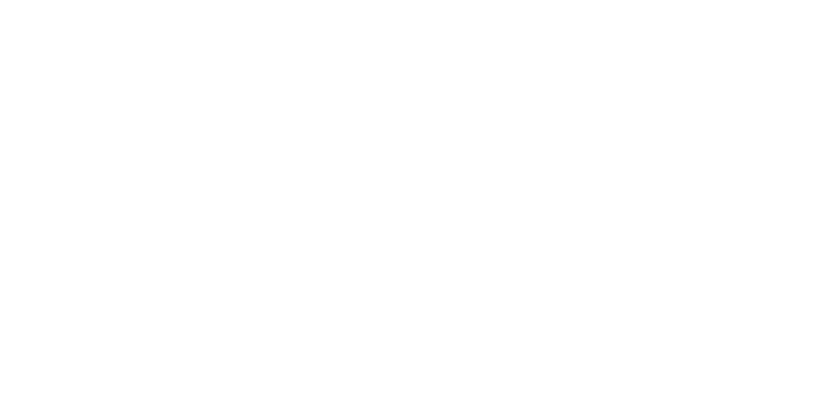 Nature in light Logo
